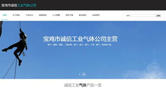 萬企互聯(lián) 從域名到營銷的一站式互聯(lián)網(wǎng)服務(wù)案例分享