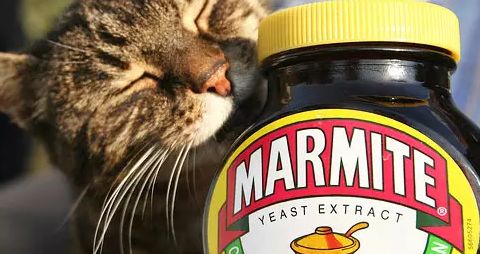 餐飲業戰“疫”新動向 海底撈精釀線下擴張，BrewDog跨界酵母醬，行業自救各顯神通