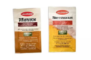 夏日必備的微醺藝術 走進精釀吧，探索啤酒酵母的奇妙世界